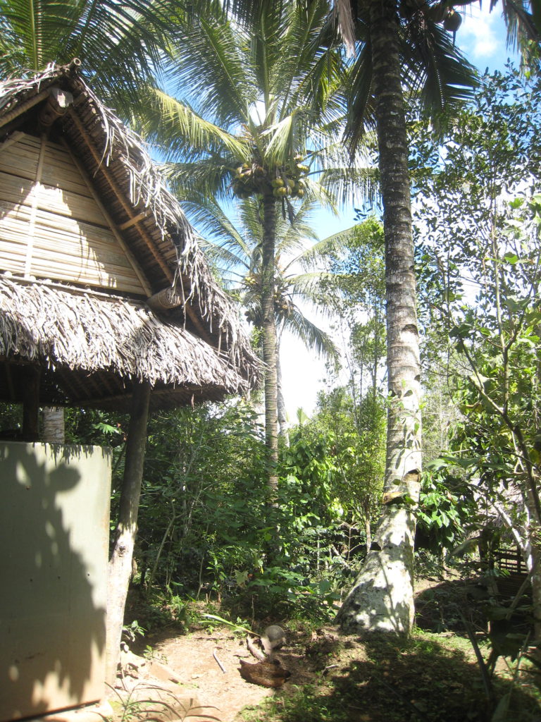 Ubud Luwak Coffee Plantation, Bali