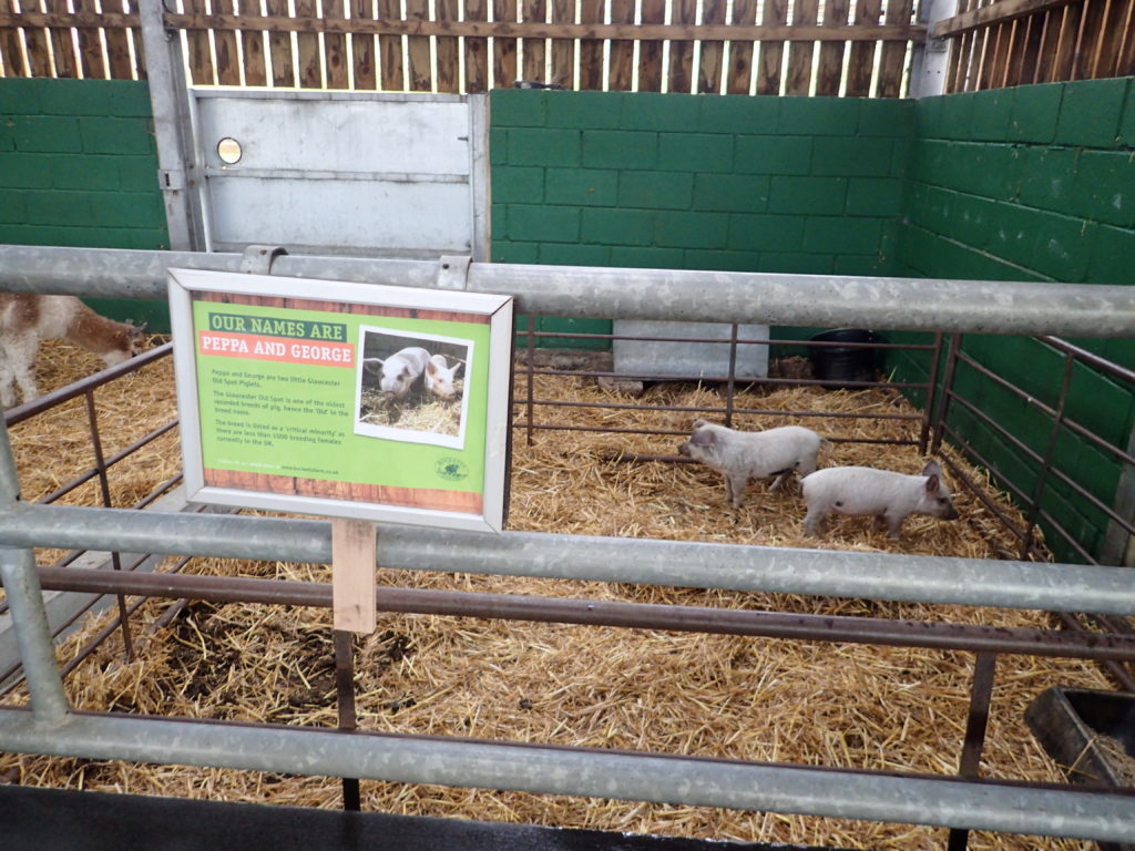 Bocketts Farm, Surrey Awaybies